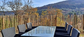 Maison conviviale avec jacuzzi à Le Bar-sur-Loup